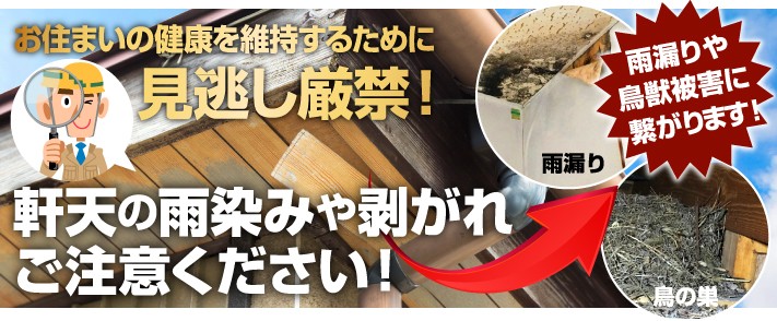 軒天の雨染みや剥がれにご注意ください、雨漏りや鳥獣被害につながります