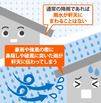 豪雨や強風によって軒天に雨水が伝わります