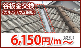 谷板金交換6150円/m~