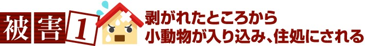剥がれたところから小動物が入り込み、住処にされるような被害がある