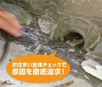 お住まい全体をチェックし原因を徹底追求