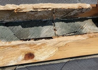 棟板金木下地