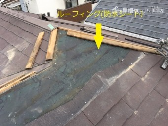 ルーフィングで雨漏れを防いでいる
