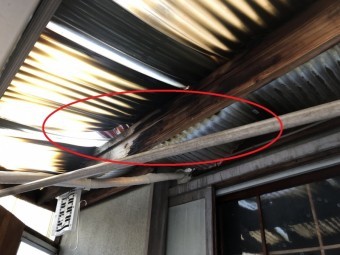 八尾 木が腐る
