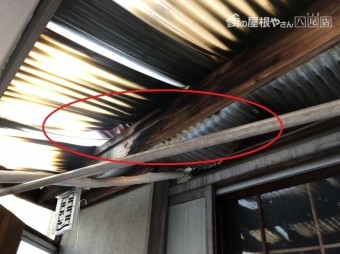 八尾 木が腐る