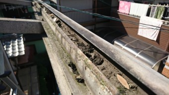 雨樋の掃除
