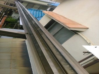 八尾市雨樋掃除