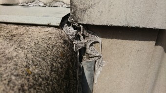 シリコンに亀裂