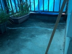 20181025_181025_0013-1-before