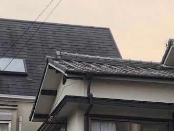20181108_181108_0020-columns2