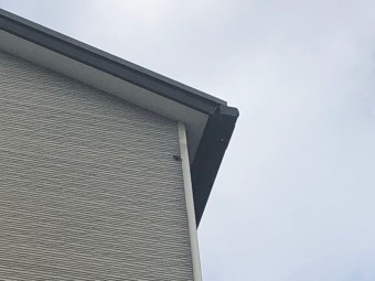 20181110_181120_0003-columns2