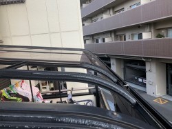 テラス飛来