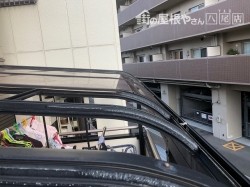 テラス飛来