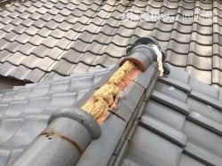 瓦の落下