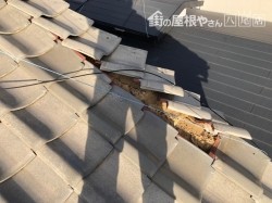 瓦がおちそう
