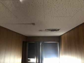 20190130_190130_0030-columns2