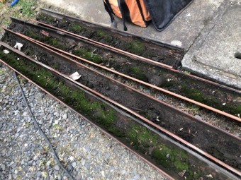 樋にコケが溜まっていた
