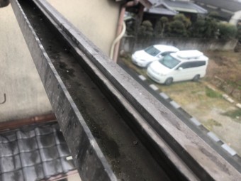 樋掃除