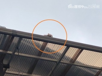 波板浮いている部分