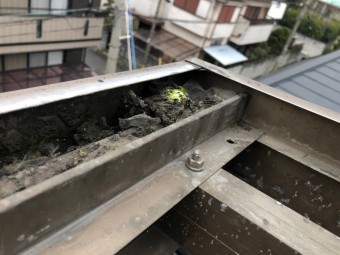 溝にゴミ