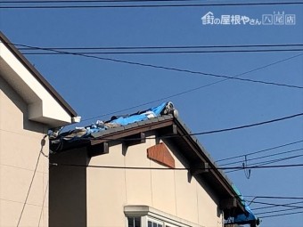 屋根の養生