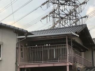 セラマウント