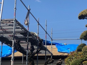 屋根養生