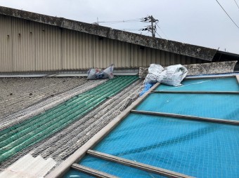 屋根養生