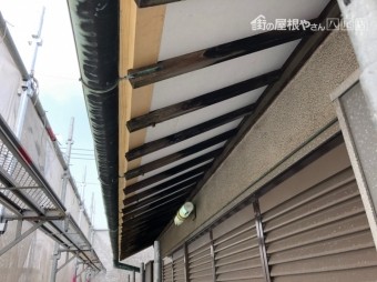 屋根の下を塗装