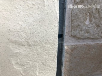 バックアップ