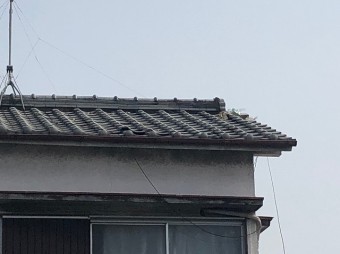 瓦屋根ズーム