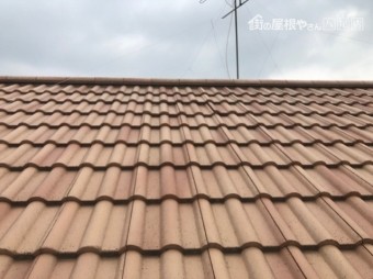 梯子から確認