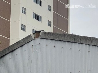 巴瓦