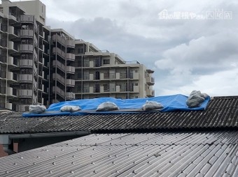 シートで養生