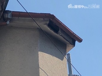 鼻隠し