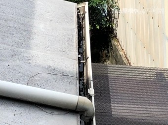 樋にごみ