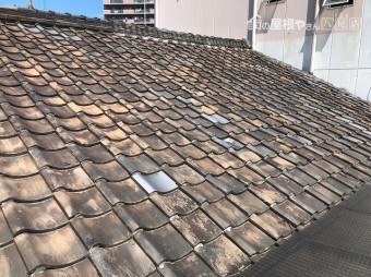 屋根点検