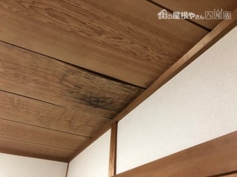 和天井にシミ