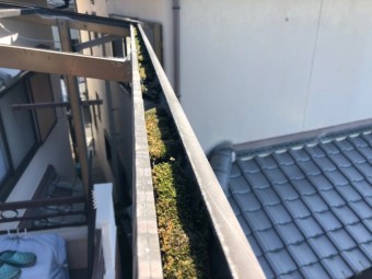 樋清掃