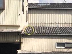 屋根にキズ