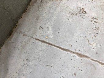 防水のひび割れ