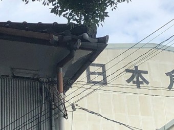 じょうご