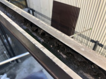 波板の下の樋のごみ