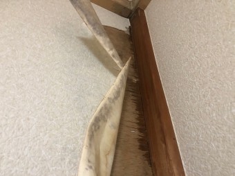 柱にシミ