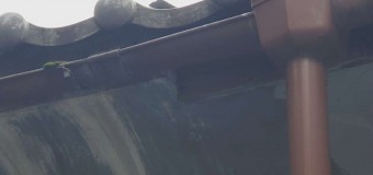 上合の横の樋