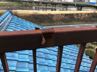 塗膜が取れた