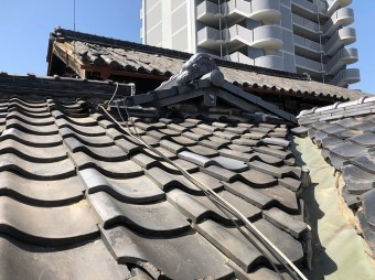 養生撤去