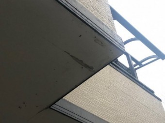 軒天に水が回っている