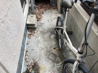 路地の落ち葉