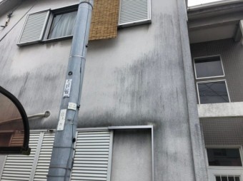 外壁の汚れ